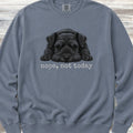 Schnauzer Black Nope Sweatshirt - Blue Jean