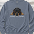 Coonhound Nope Sweatshirt - Blue Jean