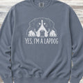 Swiss Mountain Dog Lap Dog Sweatshirt - Blue Jean