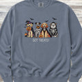Halloween Got Treats Sweatshirt - Blue Jean