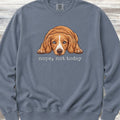 Dachshund Long Hair Red Piebald Nope Sweatshirt - Blue Jean