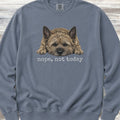 Cairn Terrier Nope Sweatshirt - Blue Jean