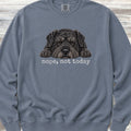 Bouvier Nope Sweatshirt - Blue Jean