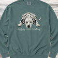 Dalmatian Nope Sweatshirt - Blue Spruce