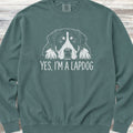 Swiss Mountain Dog Lap Dog Sweatshirt - Blue Spruce