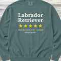 Labrador Retriever Review Sweatshirt - Blue Spruce