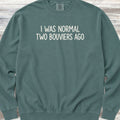 Bouvier Normal Sweatshirt - Blue Spruce