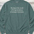 Unsupervised Play Sweatshirt - Blue Spruce