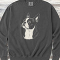 Boston Terrier Loyalty Sweatshirt - Pepper