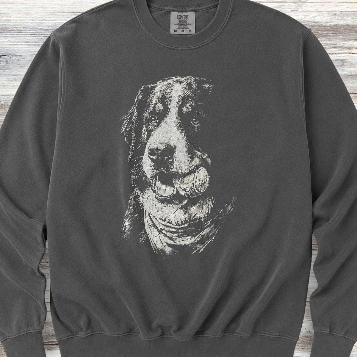 Bernese Mountain Dog Play Ball Sweatshirt - Pepper
