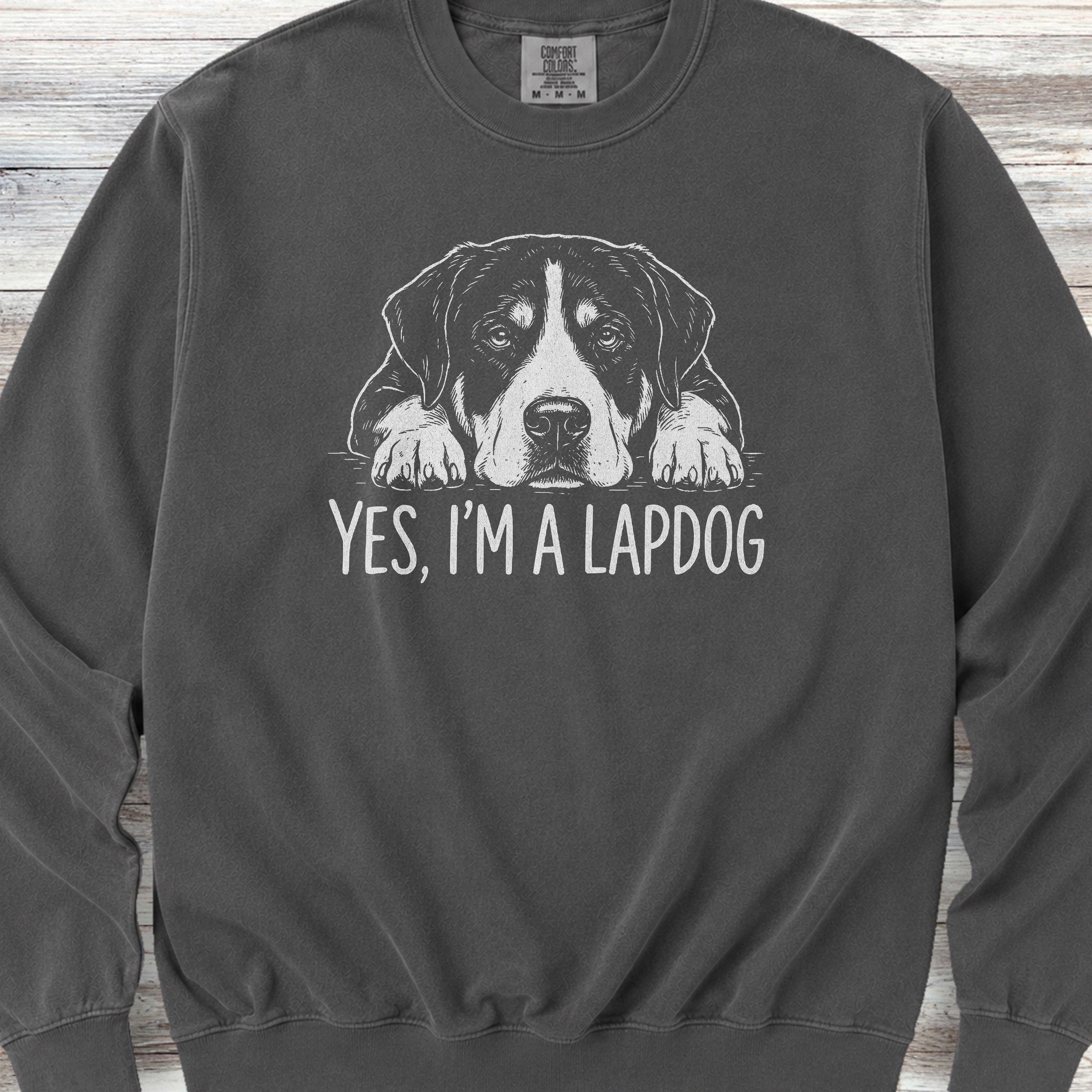 Swiss Mountain Dog Lap Dog Sweatshirt - Pepper