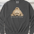 Havanese Nope Sweatshirt - Pepper