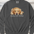 Golden Retriever Nope Sweatshirt - Pepper