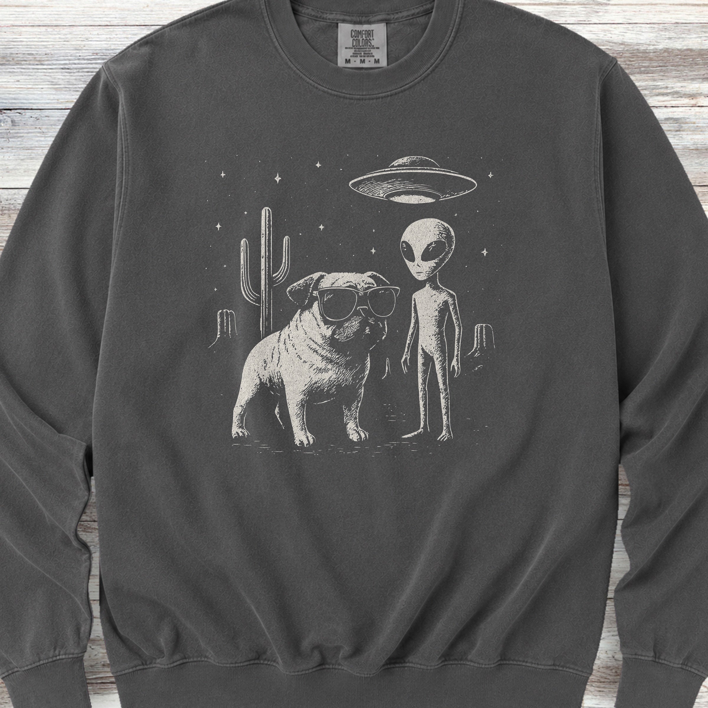 Pug Alien Encounter Sweatshirt - Pepper