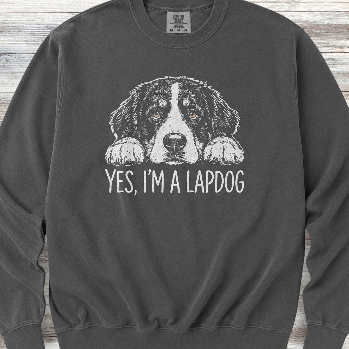 Bernese Mountain Dog Lapdog Sweatshirt - Pepper