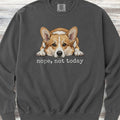 Corgi Nope Sweatshirt - Pepper
