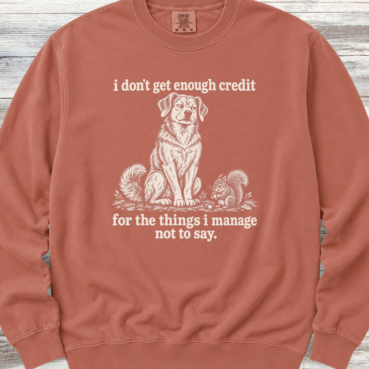 I Don't Get Credit Sweatshirt - Terracotta