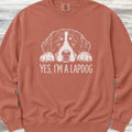 Bernese Mountain Dog Lapdog Sweatshirt - Terracotta