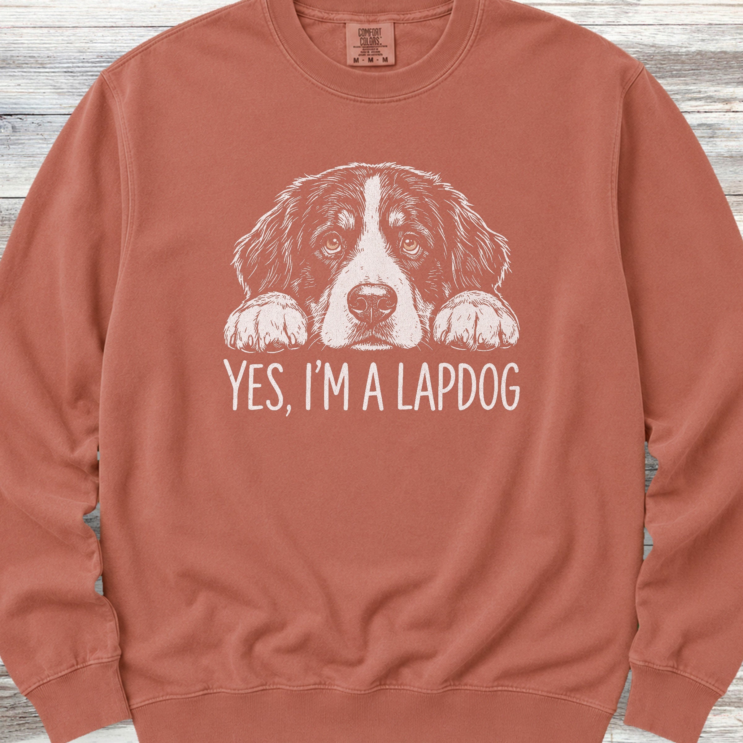 Bernese Mountain Dog Lapdog Sweatshirt - Terracotta