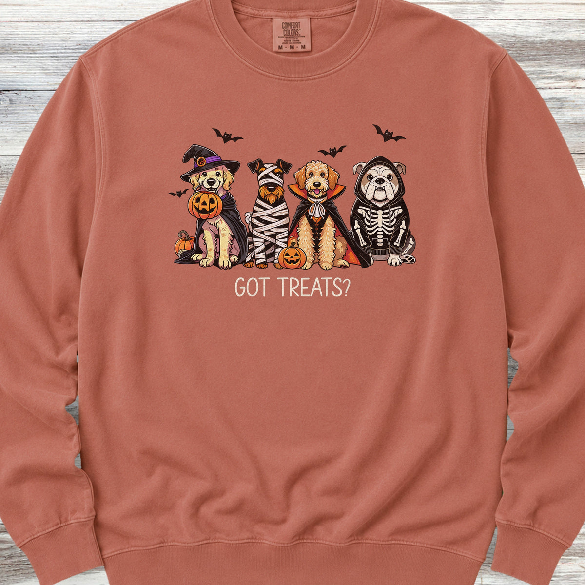 Halloween Got Treats Sweatshirt - Terracotta
