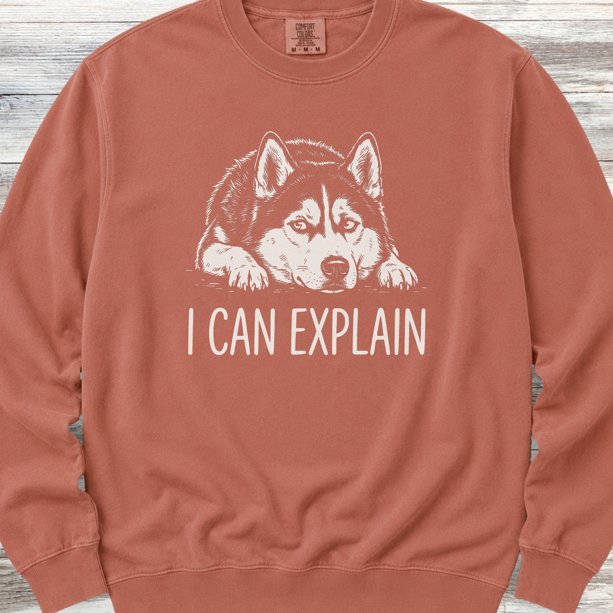 Husky Explain Sweatshirt - Terracotta