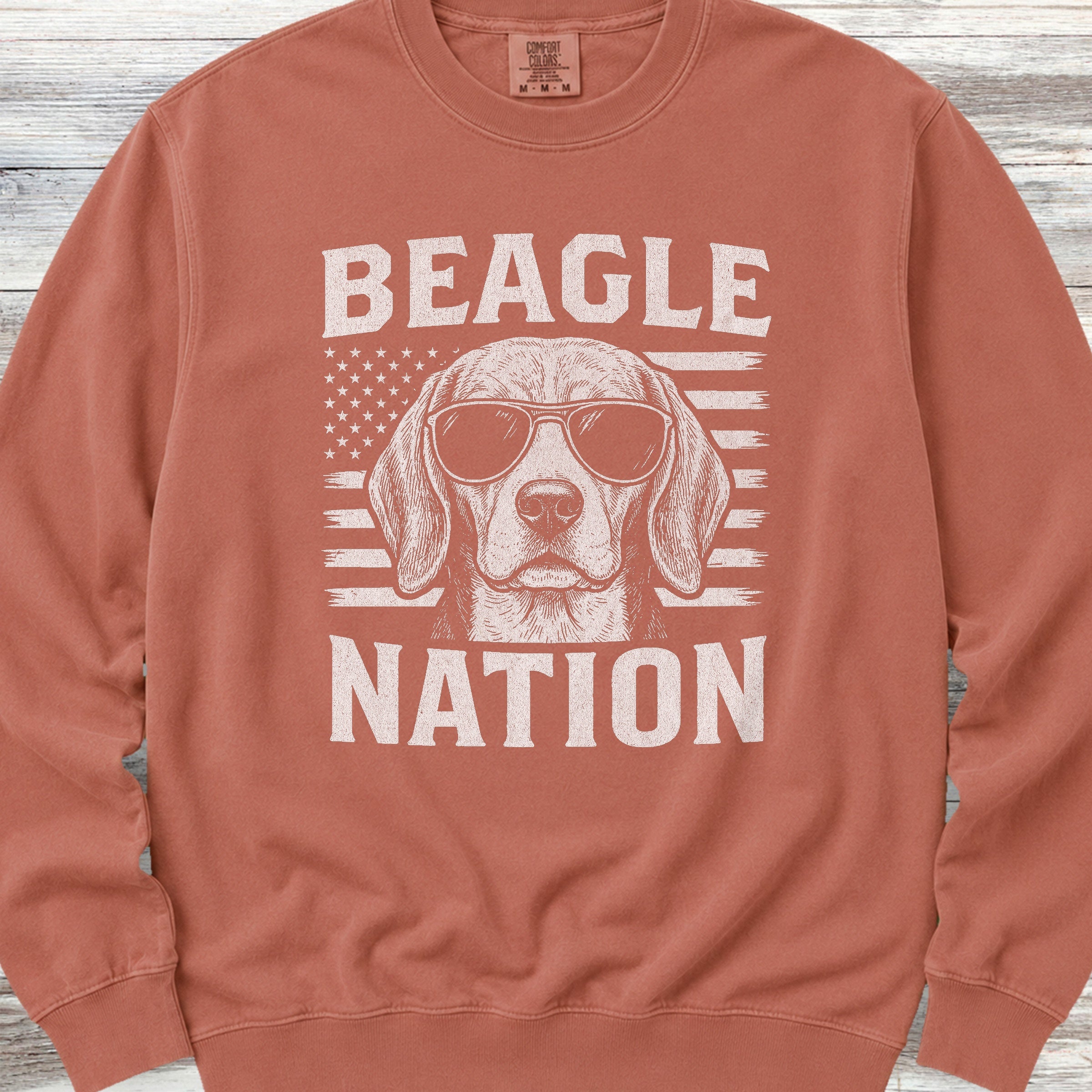 Beagle Nation Sweatshirt - Terracotta