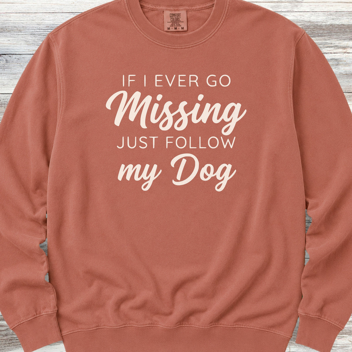 Just Follow My Dog Sweatshirt - Terracotta