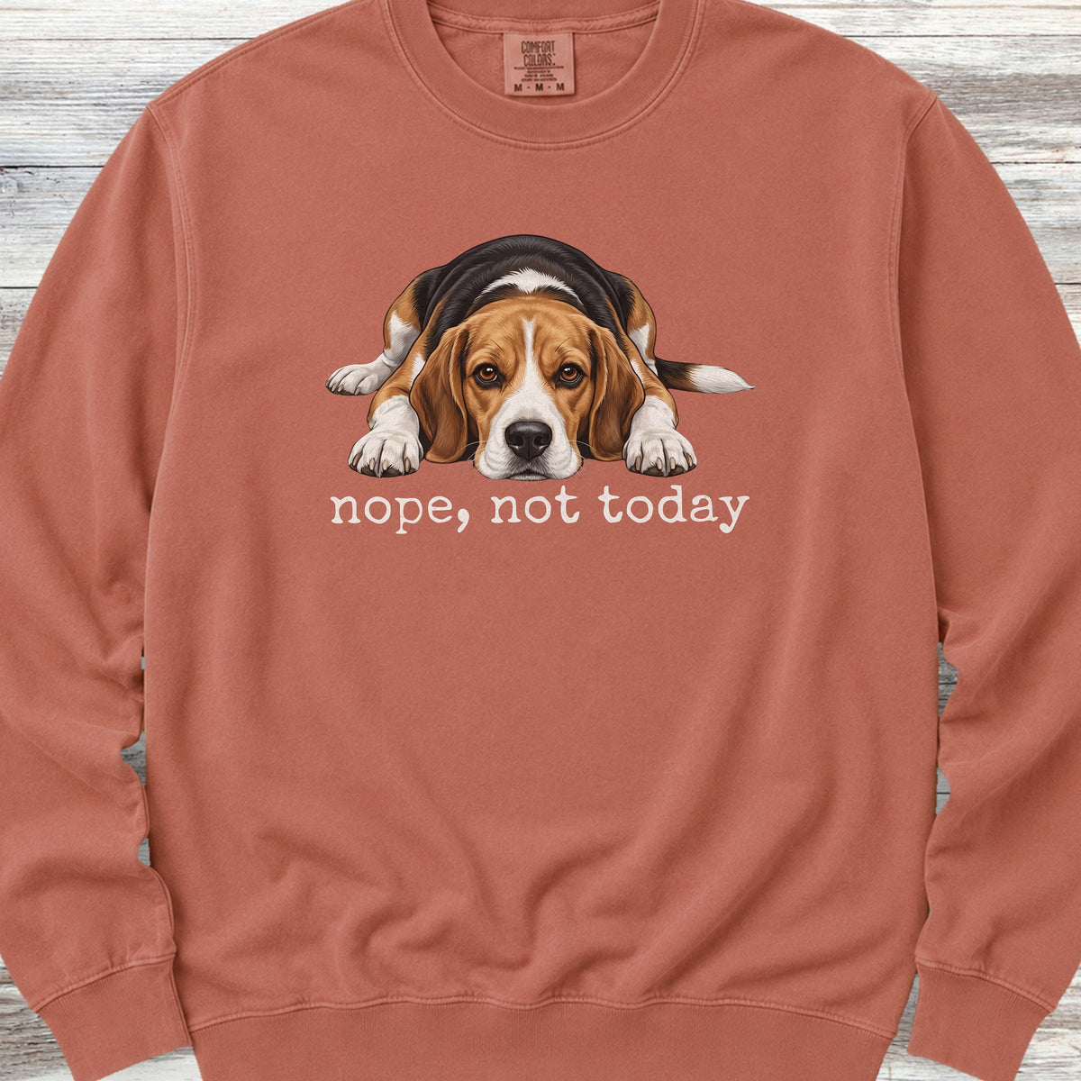 Beagle Nope Sweatshirt - Terracotta