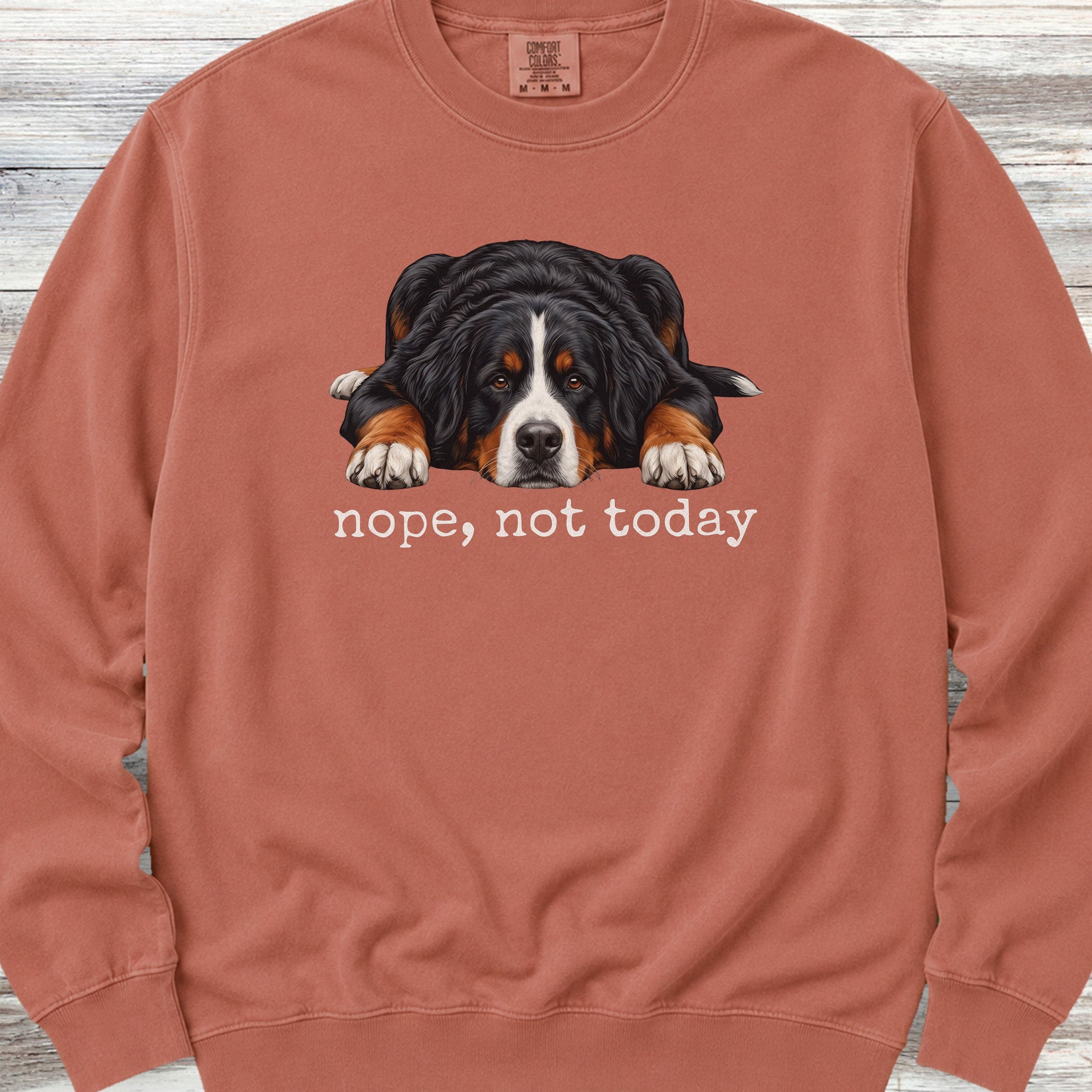 Swiss Mountain Dog Nope Sweatshirt - Terracotta