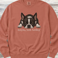 Boston Terrier Nope Sweatshirt - Terracotta