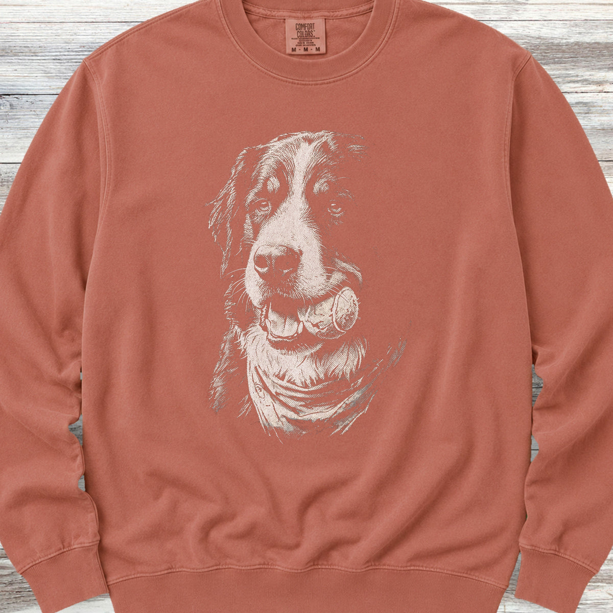 Bernese Mountain Dog Play Ball Sweatshirt - Terracotta