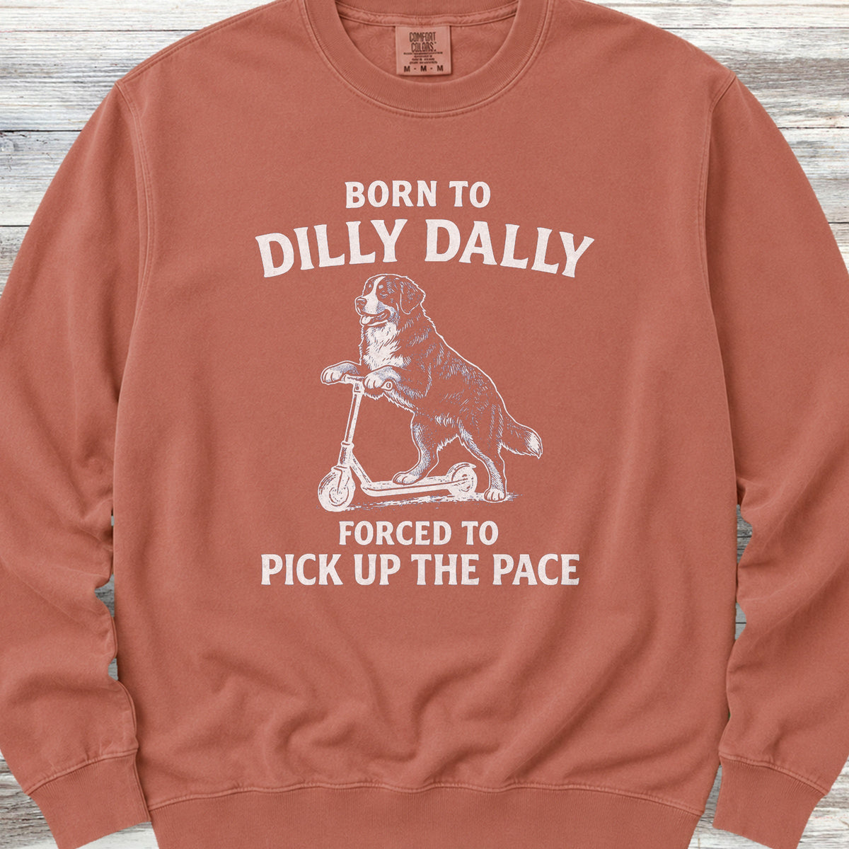 Bernese Mountain Dog Dilly Dally Sweatshirt - Terracotta