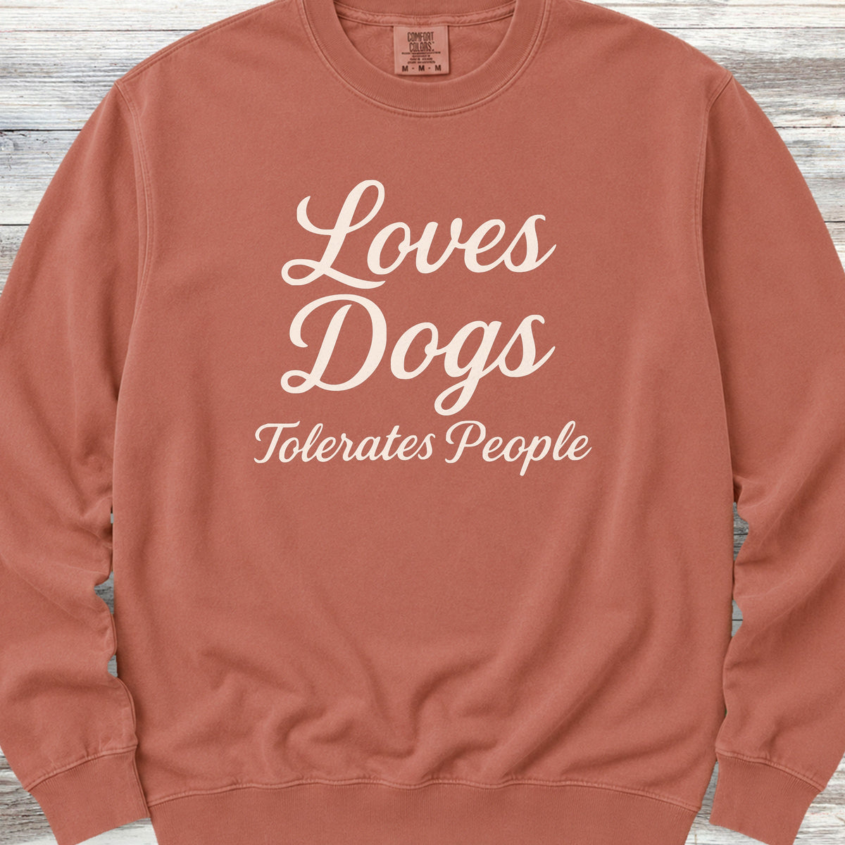 Loves Dogs Tolerates People Sweatshirt - Terracotta