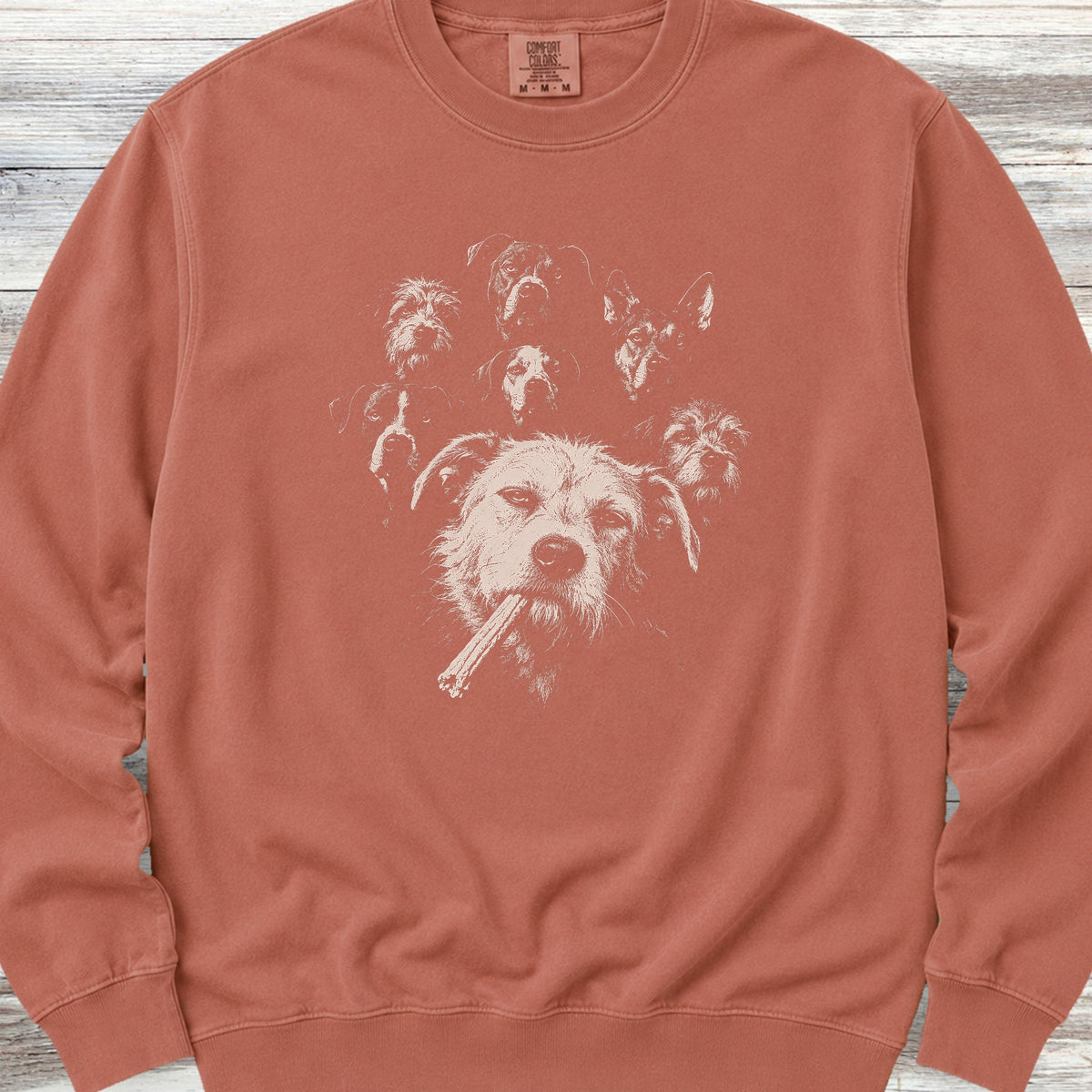 Mutt & The Gang Sweatshirt - Terracotta