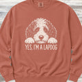 Sheepadoodle Lapdog Sweatshirt - Terracotta