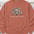 Weimaraner Nope Sweatshirt - Terracotta