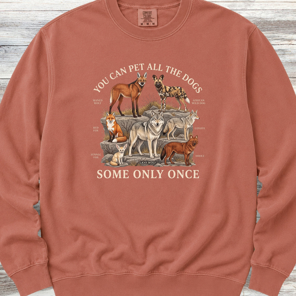 Only Once Sweatshirt - Terracotta