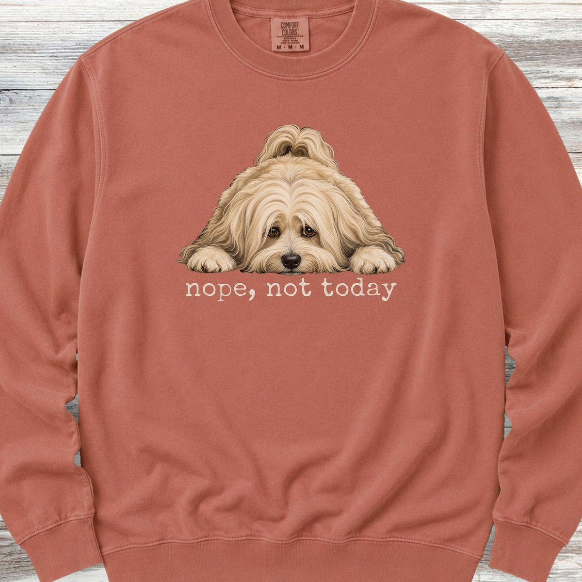 Havanese Nope Sweatshirt - Terracotta