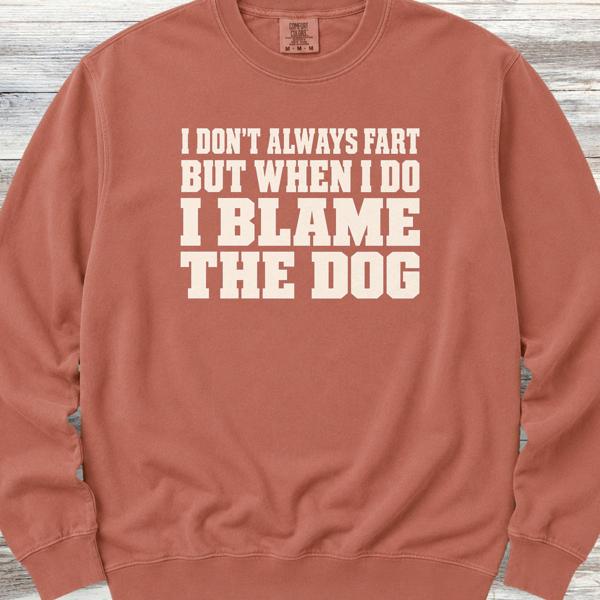 I Blame the Dog Sweatshirt - Terracotta
