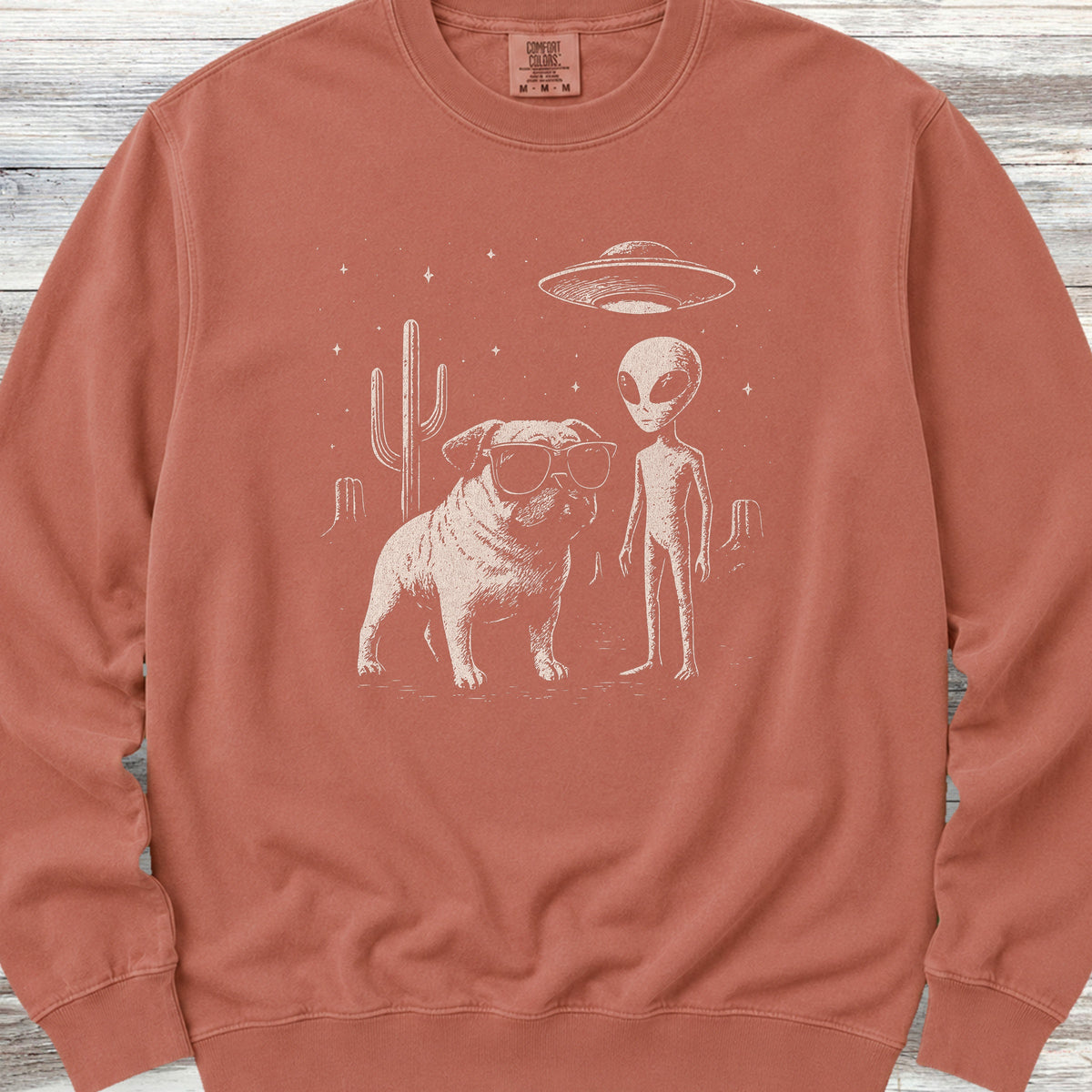 Pug Alien Encounter Sweatshirt - Terracotta