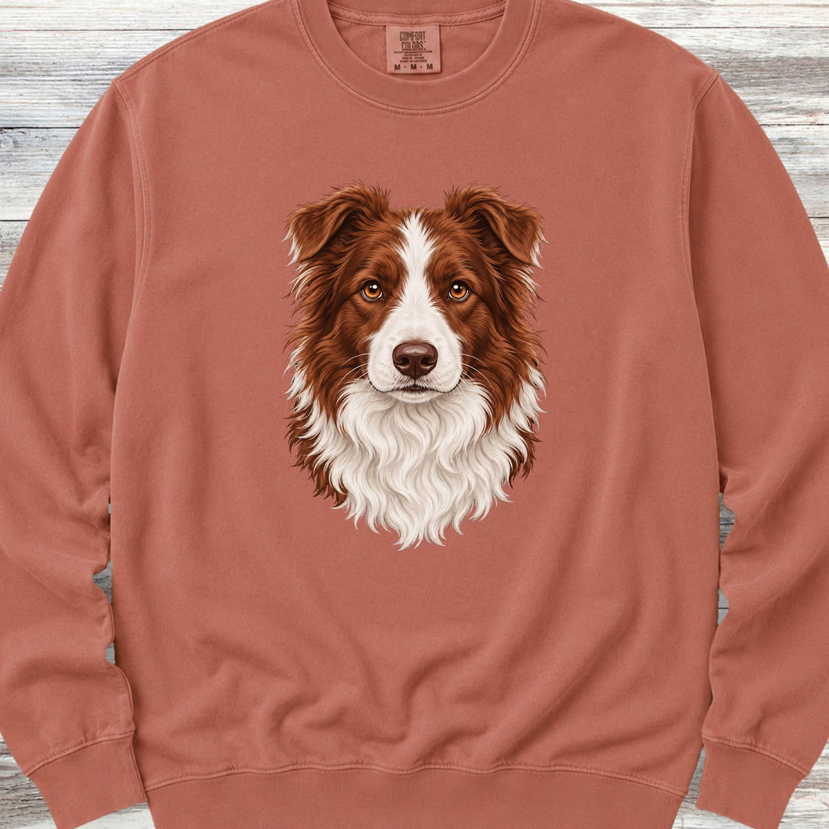 Border Collie Red Studio Portrait Sweatshirt - Terracotta