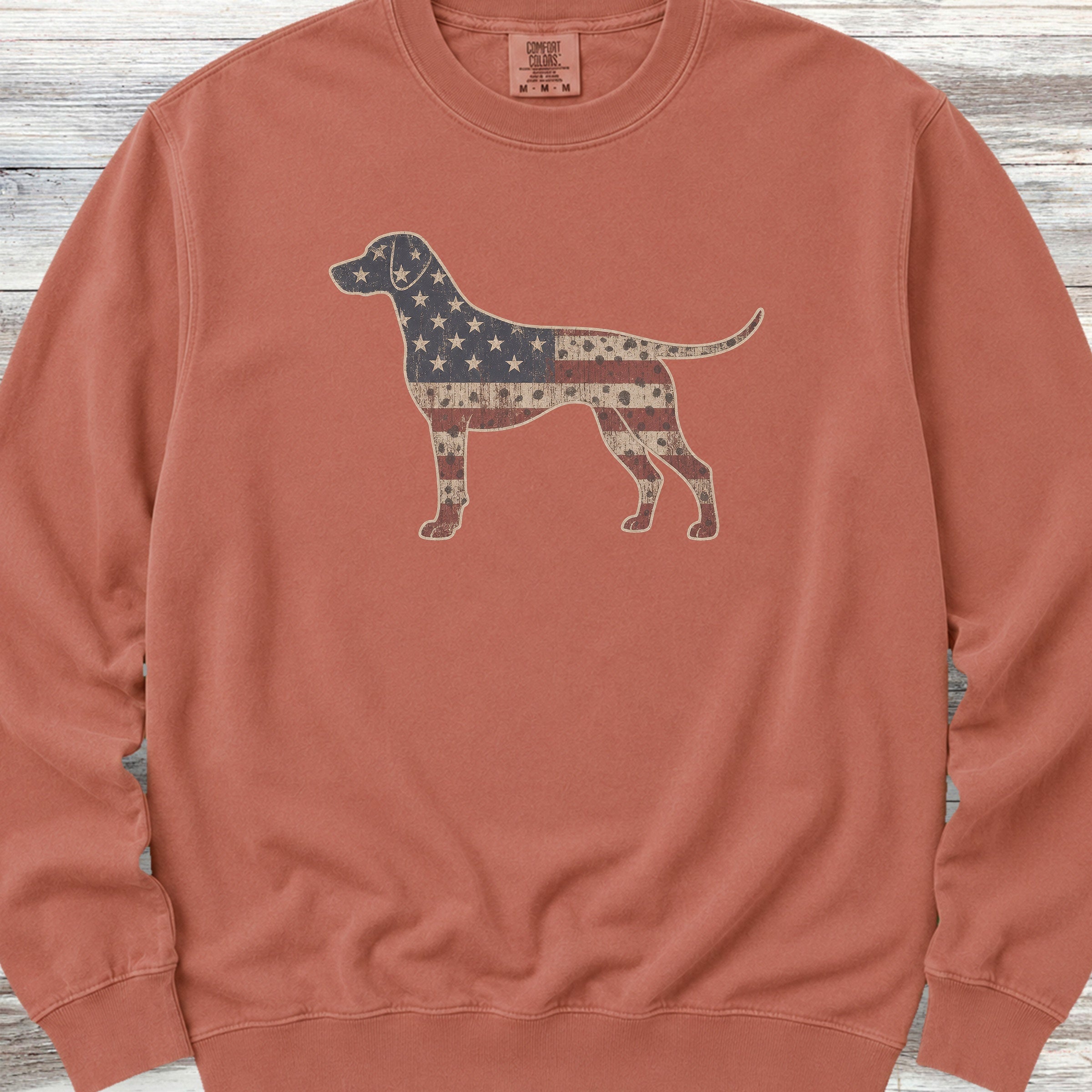 Dalmatian Vintage USA Sweatshirt - Terracotta
