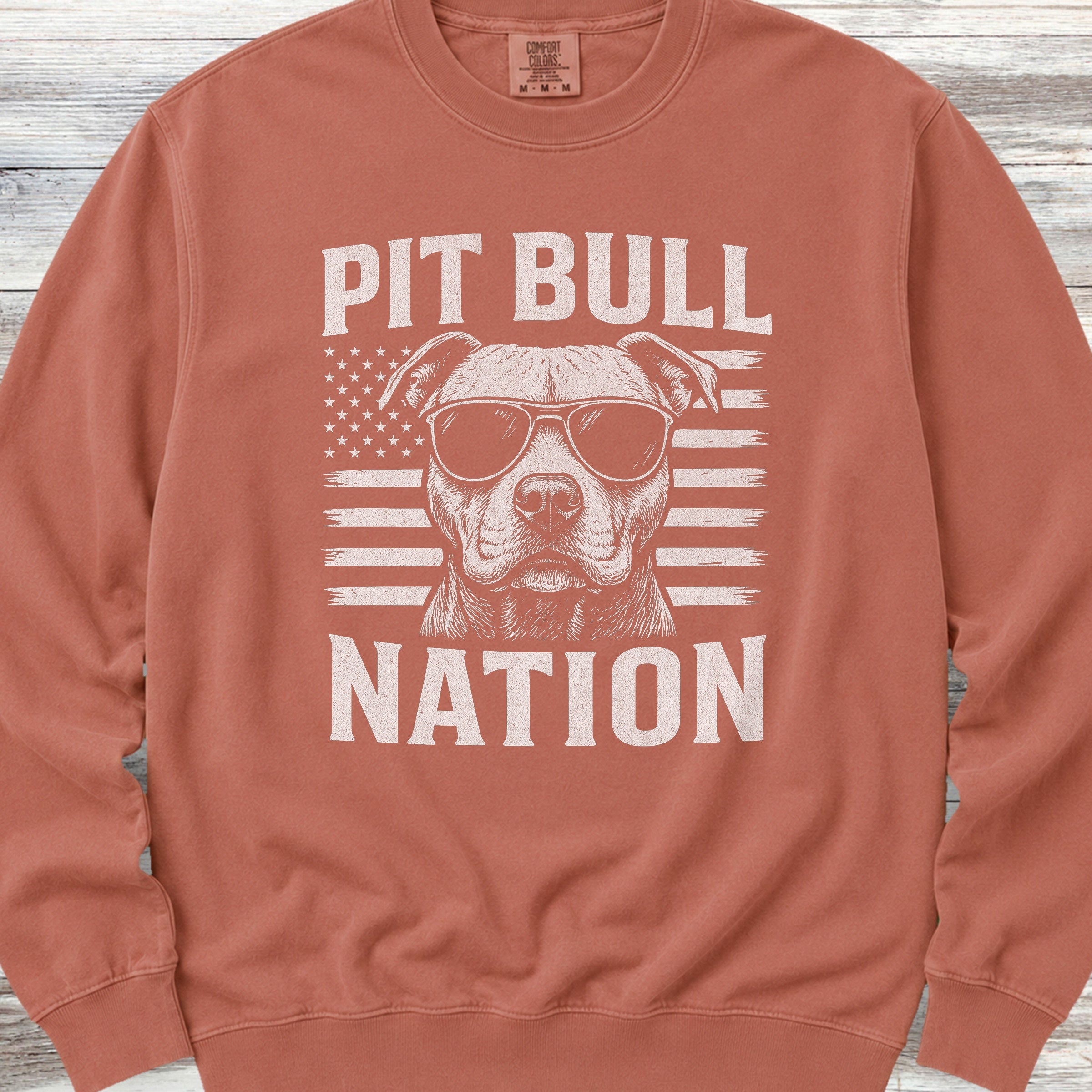 Pit Bull Nation Sweatshirt - Terracotta