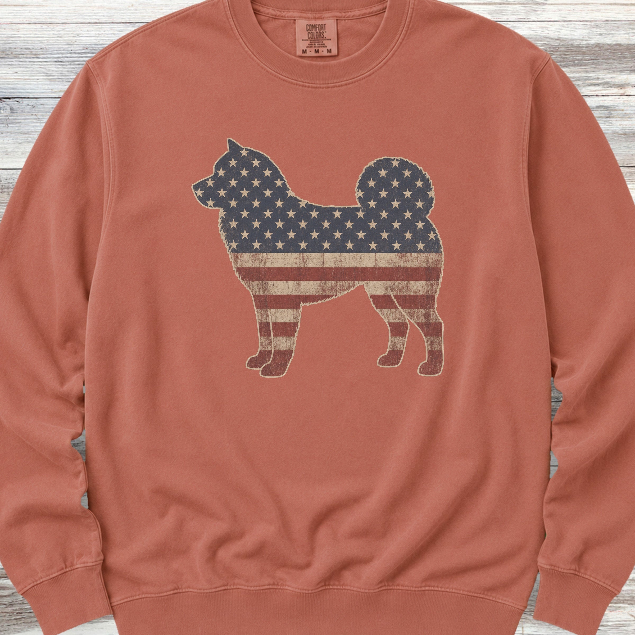 Akita Vintage USA Sweatshirt - Terracotta