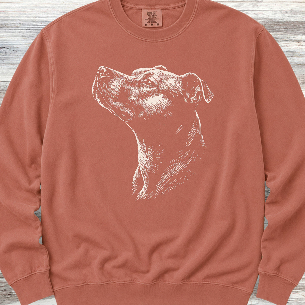 Pit Bull Loyalty Sweatshirt - Terracotta