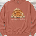 Pomeranian Nope Sweatshirt - Terracotta