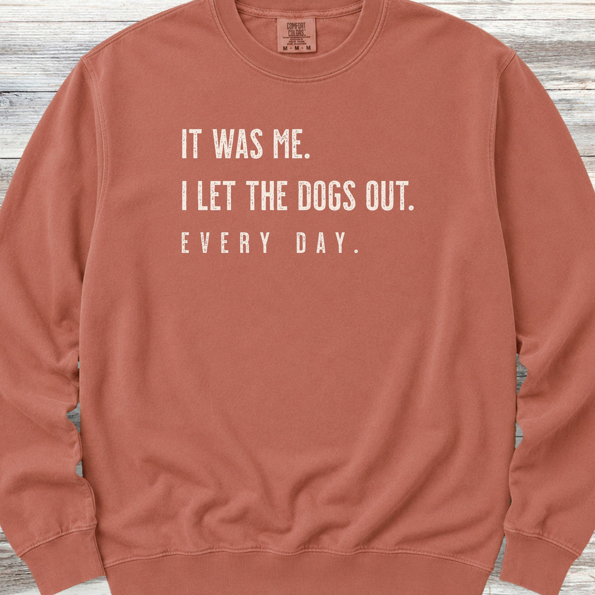 I Let The Dogs Out Everyday Sweatshirt - Terracotta