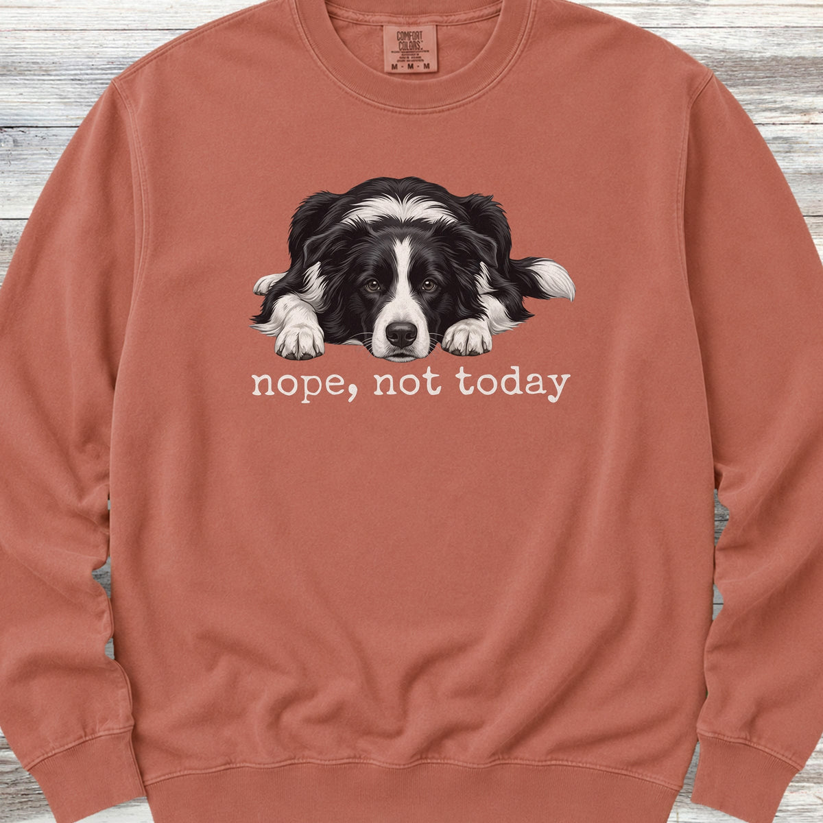 Border Collie Nope Sweatshirt - Terracotta