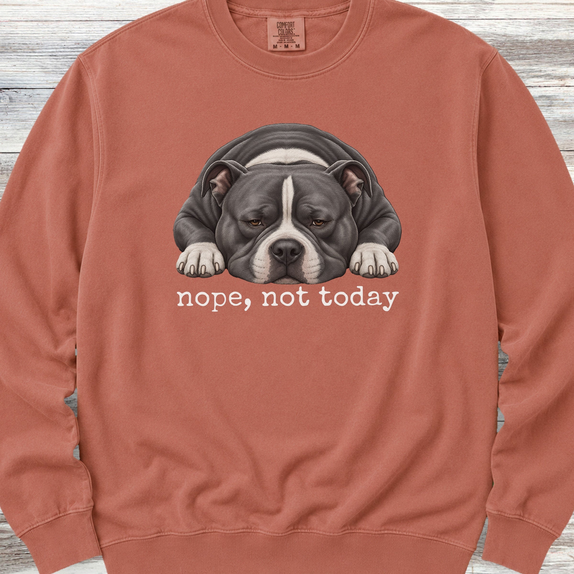 American Bully Nope Sweatshirt - Terracotta