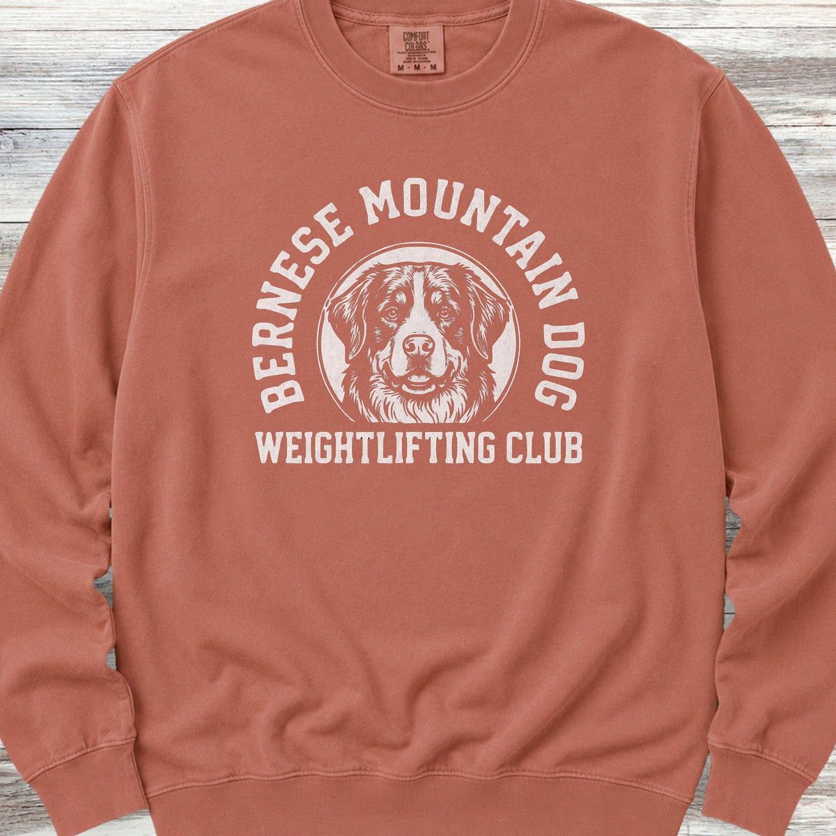 Bernese Mountain Dog Weightlifting Sweatshirt - Terracotta